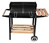 SF SAVINO FILIPPO Barbacoa Brasero Portátil en Metal Hierro y Acero Madera y Carbón Barbacoa Carretilla Parrilla